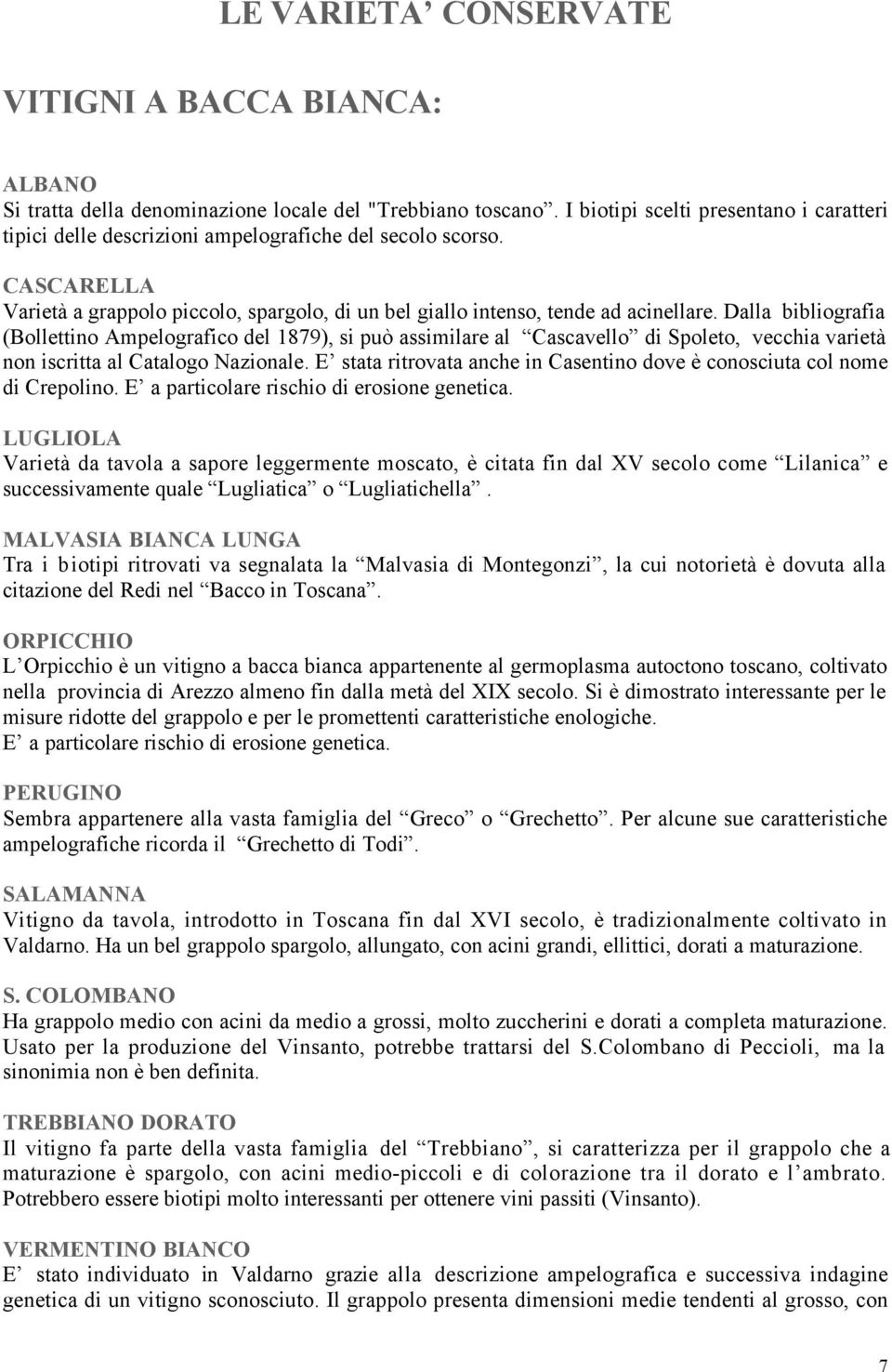 Dalla bibliografia (Bollettino Ampelografico del 1879), si può assimilare al Cascavello di Spoleto, vecchia varietà non iscritta al Catalogo Nazionale.