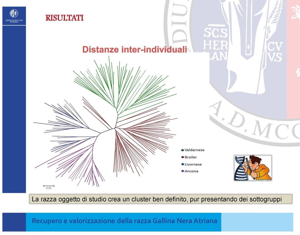 un cluster ben definito,