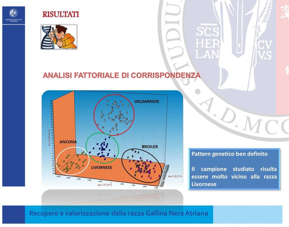 studiato risulta essere