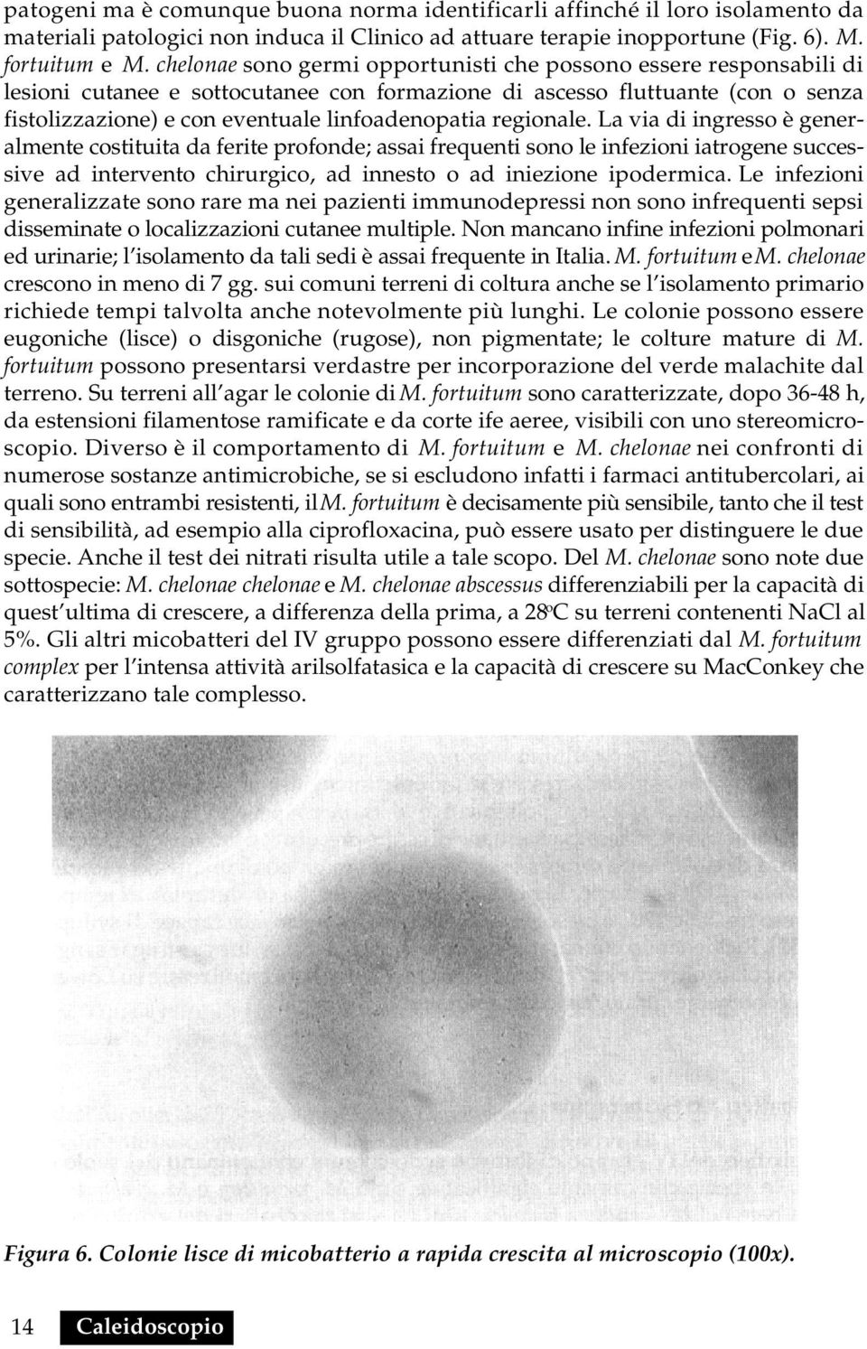 regionale. La via di ingresso è generalmente costituita da ferite profonde; assai frequenti sono le infezioni iatrogene successive ad intervento chirurgico, ad innesto o ad iniezione ipodermica.