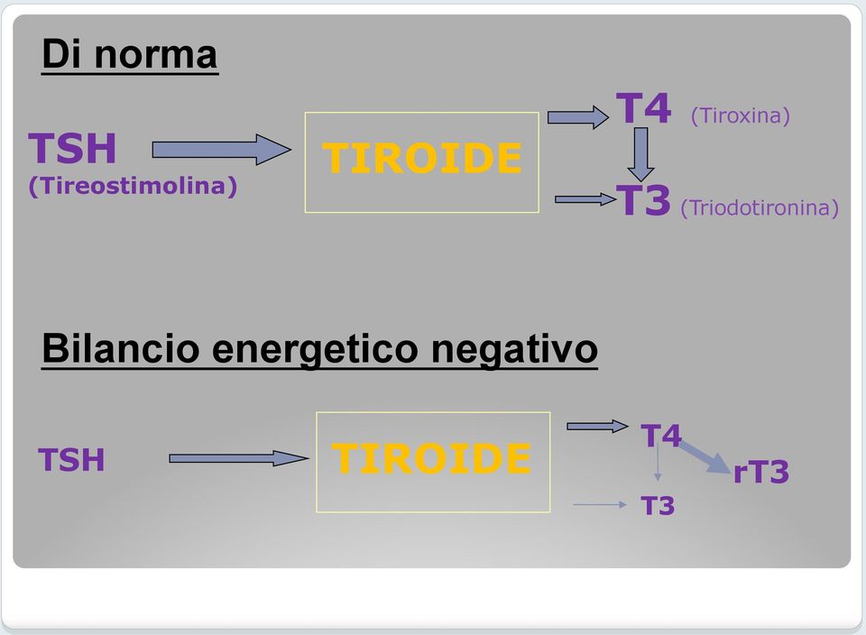 (Triodotironina) Bilancio