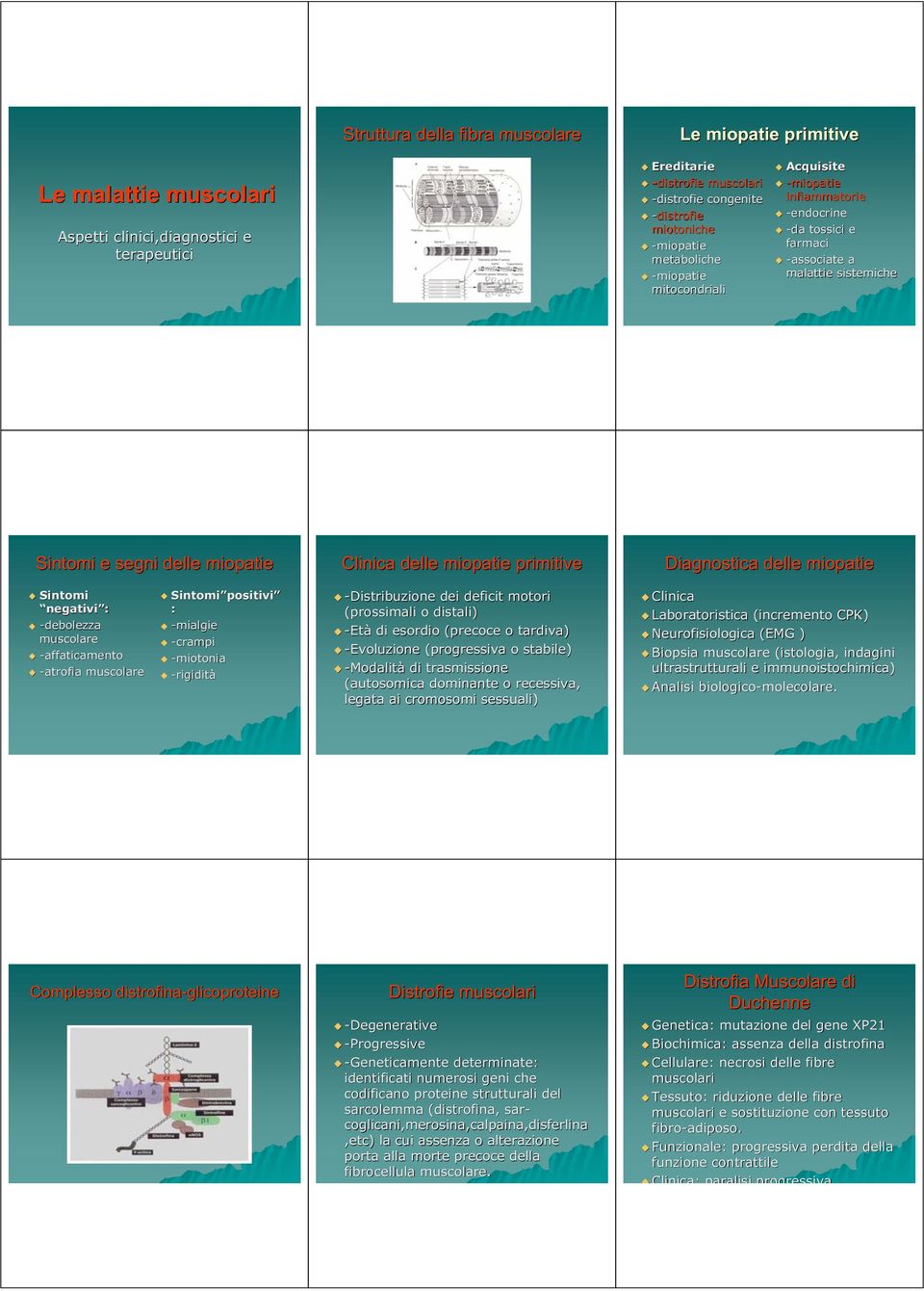 primitive Diagnostica delle miopatie Sintomi negativi : -debolezza muscolare -affaticamento -atrofia muscolare Sintomi positivi positivi : -mialgie -crampi -miotonia -rigidità -Distribuzione dei