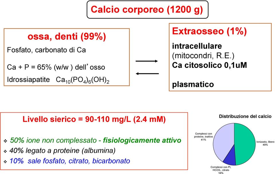 4 mm) Distribuzione del calcio v 50% ione non complessato - fisiologicamente attivo v 40% legato a proteine (albumina) v 10%