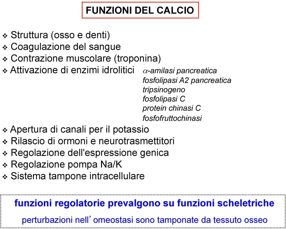 canali per il potassio v Rilascio di ormoni e neurotrasmettitori v Regolazione dell'espressione genica v Regolazione pompa Na/K v Sistema