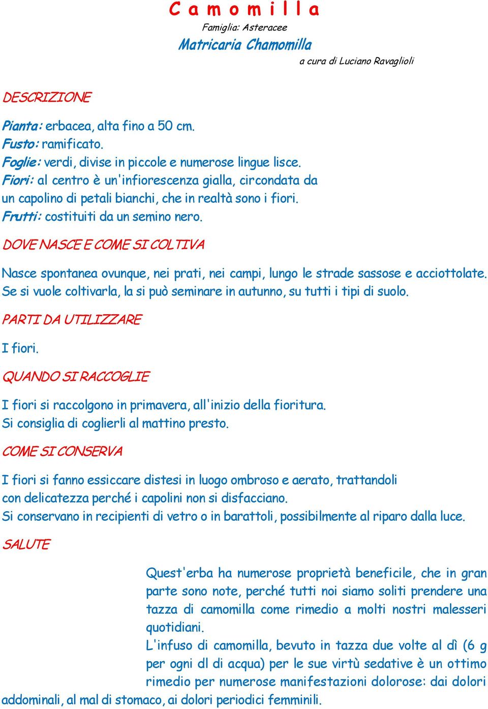 Frutti: costituiti da un semino nero. DOVE NASCE E COME SI COLTIVA Nasce spontanea ovunque, nei prati, nei campi, lungo le strade sassose e acciottolate.