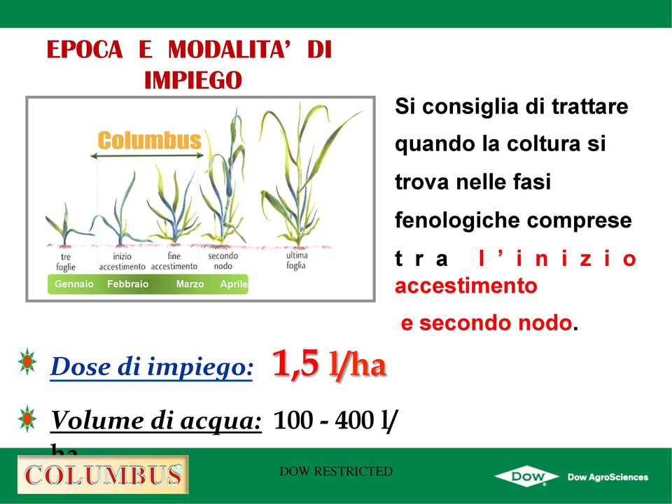 trova nelle fasi fenologiche comprese t r a l i n i z i o