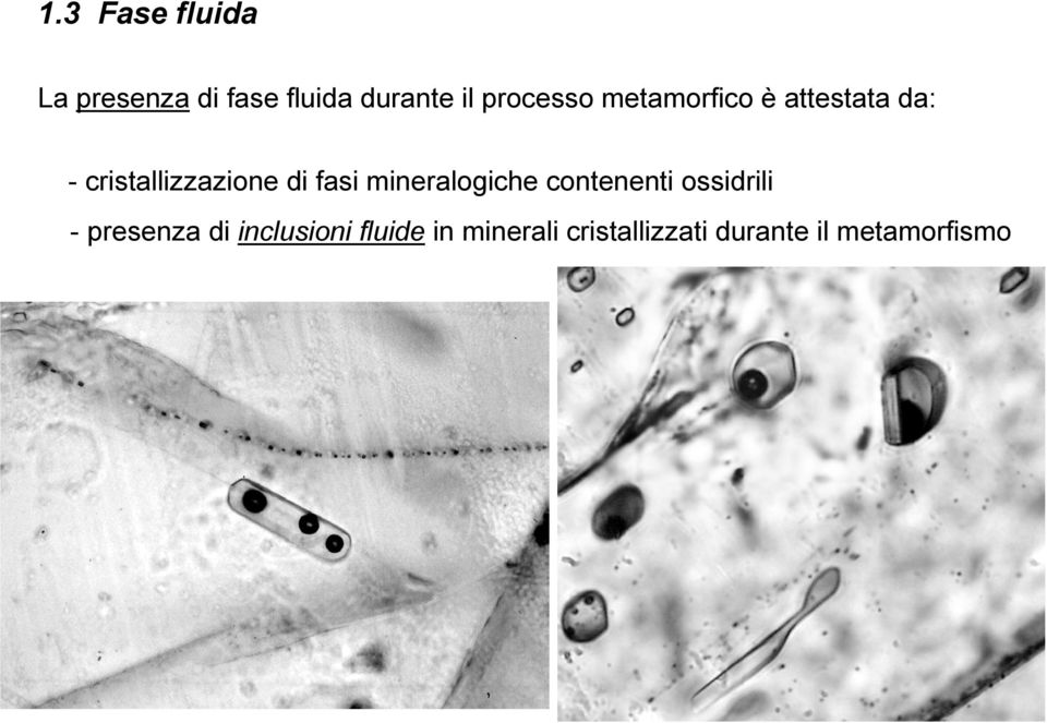 di fasi mineralogiche contenenti ossidrili - presenza di