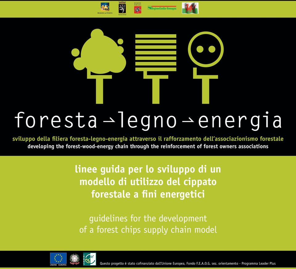 modello di utilizzo del cippato forestale a fini energetici guidelines for the development of a forest chips supply