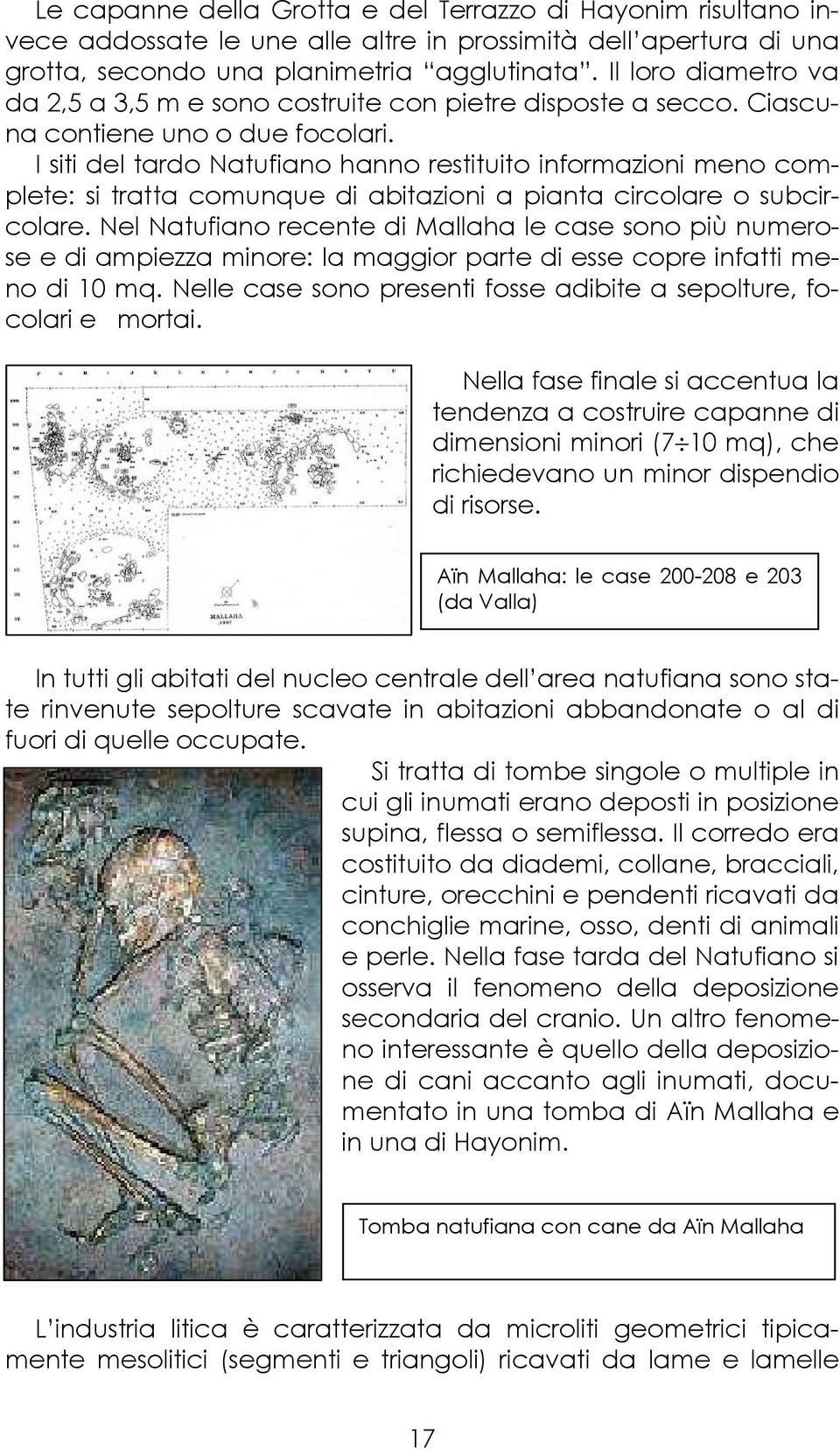 I siti del tardo Natufiano hanno restituito informazioni meno complete: si tratta comunque di abitazioni a pianta circolare o subcircolare.