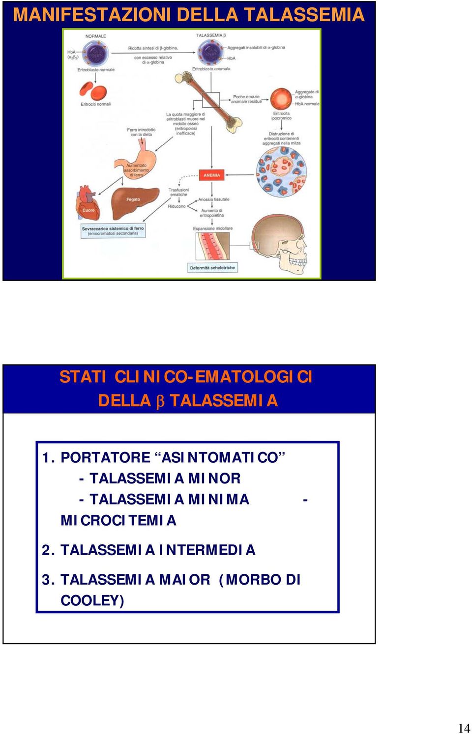 PORTATORE ASINTOMATICO - TALASSEMIA MINOR - TALASSEMIA