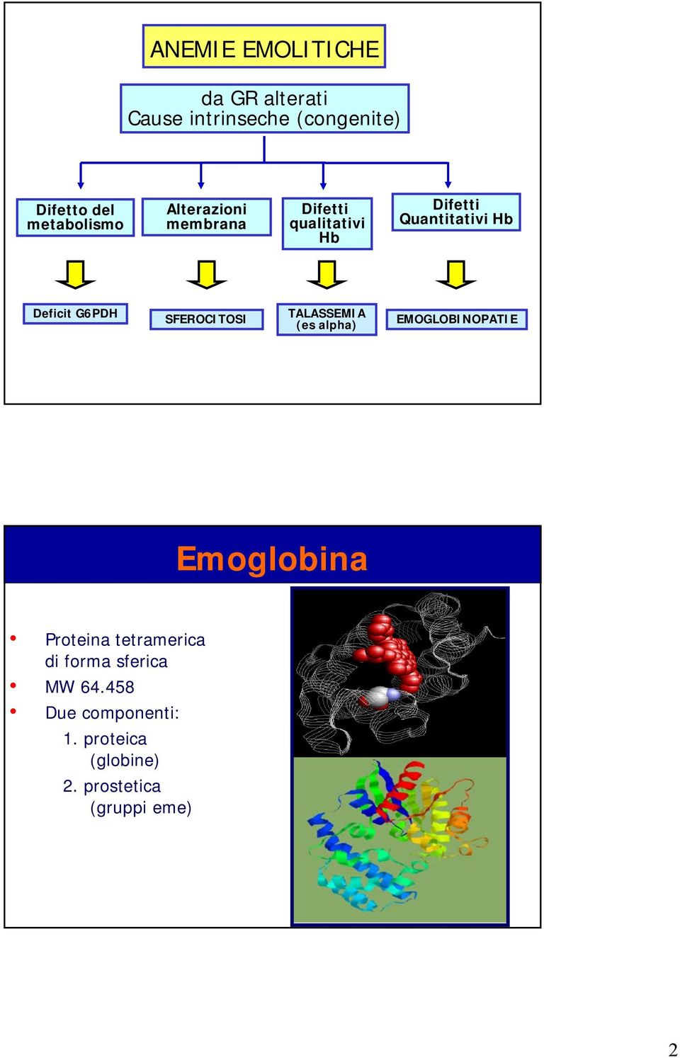 Deficit G6PDH SFEROCITOSI TALASSEMIA (es alpha) EMOGLOBINOPATIE Emoglobina Proteina