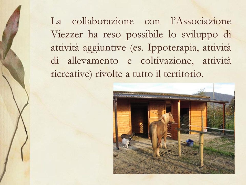 (es. Ippoterapia, attività di allevamento e