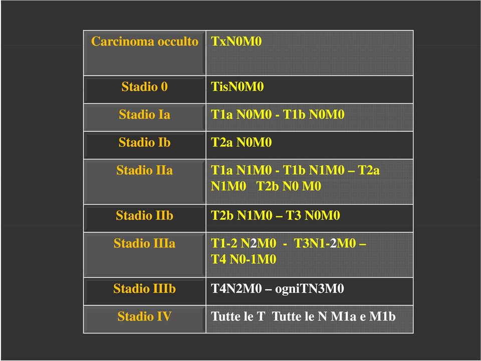 N0M0 T2a N0M0 T1a N1M0 -T1b N1M0 T2a N1M0 T2b N0 M0 T2b N1M0 T3 N0M0