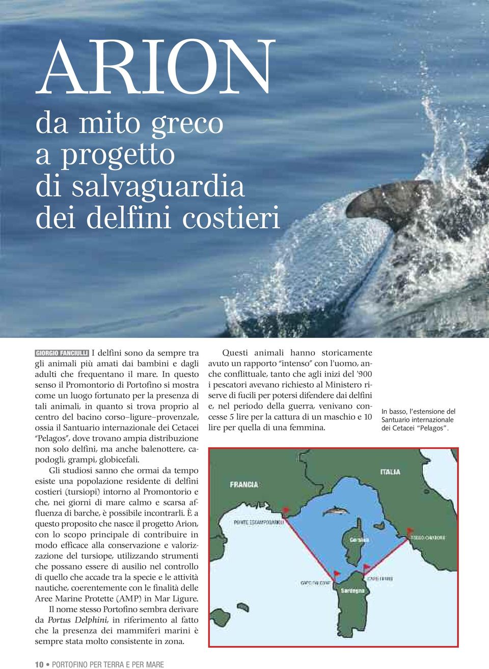 Santuario internazionale dei Cetacei Pelagos, dove trovano ampia distribuzione non solo delfini, ma anche balenottere, capodogli, grampi, globicefali.