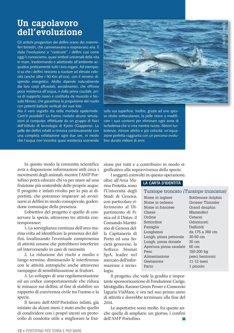 Ad esempio, si sa che i delfini riescono a nuotare ad elevate velocità (anche oltre i 50 Km all ora), con il minimo dispendio energetico.