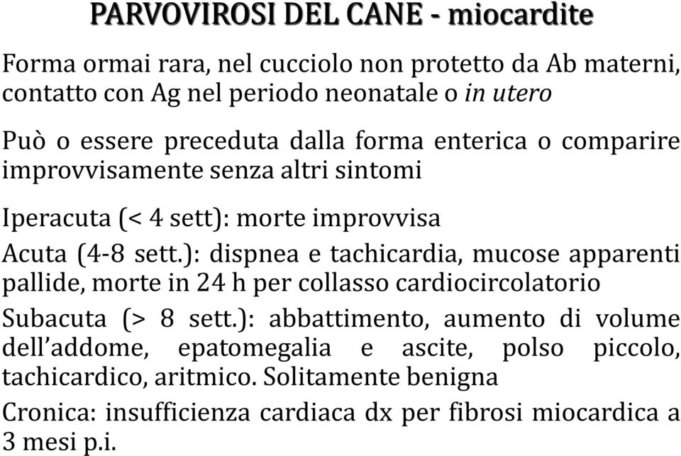 ): dispnea e tachicardia, mucose apparenti pallide, morte in 24 h per collasso cardiocircolatorio Subacuta (> 8 sett.