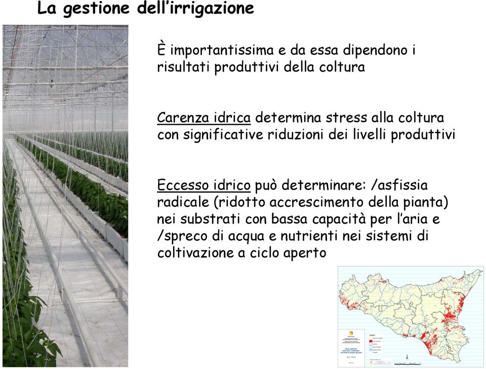 Km Enna Ragusa Catania Siracusa Messina La gestione dell irrigazione È importantissima e da essa dipendono i risultati produttivi della coltura Carenza idrica determina stress alla coltura con