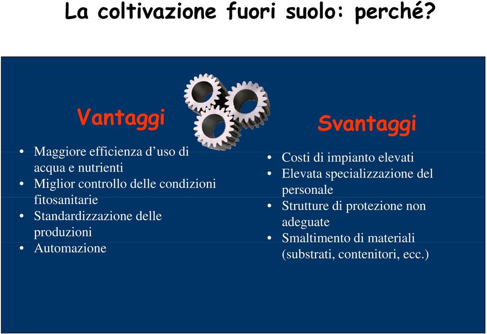 condizioni fitosanitarie i Standardizzazione delle produzioni Automazione Svantaggi Costi