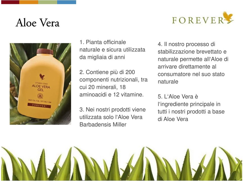 all Aloe di 2. Contiene più di 200 componenti nutrizionali, tra cui 20 minerali, 18 aminoacidi e 12 vitamine. 3.