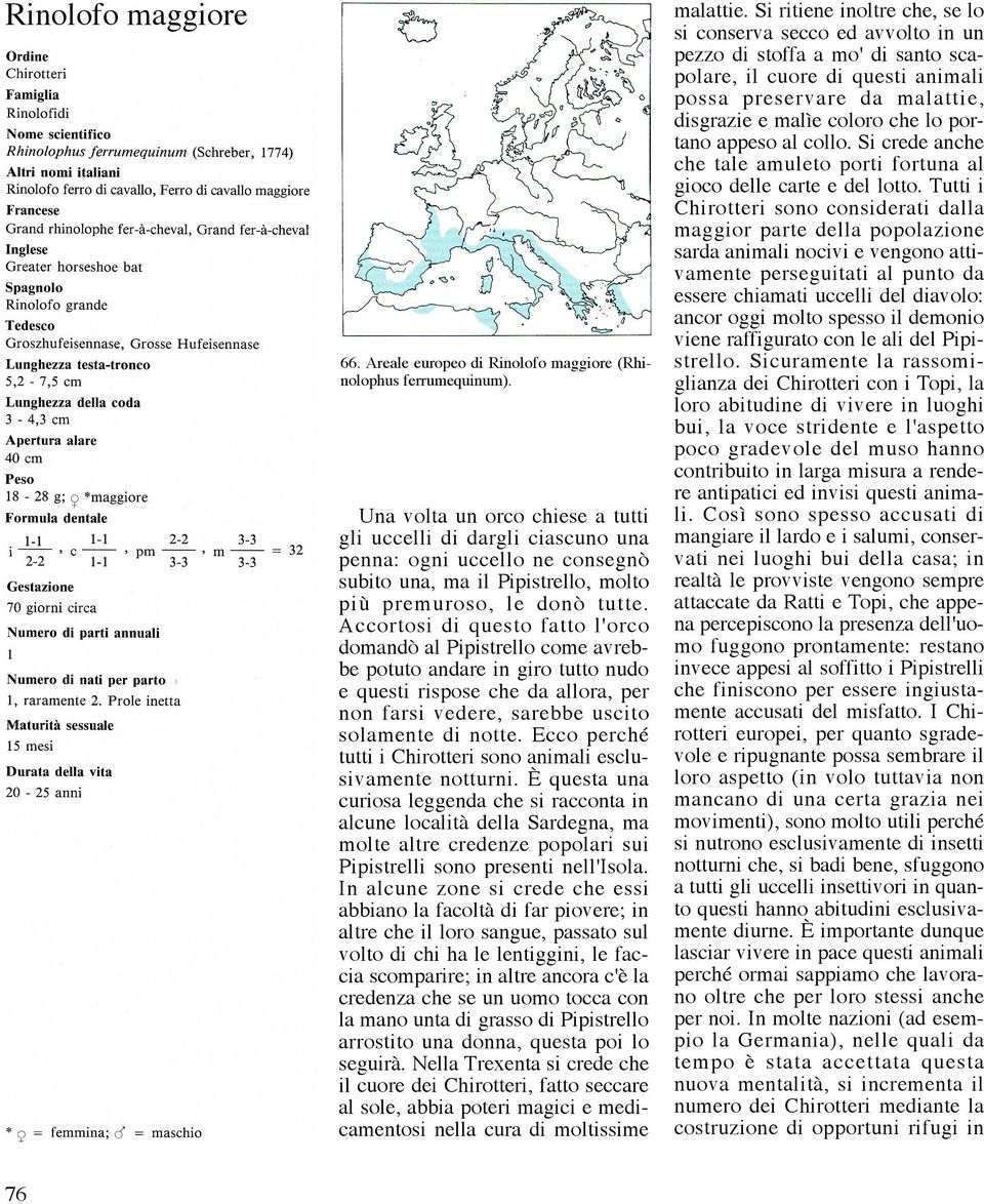 Accortosi di questo fatto l'orco domandò al Pipistrello come avrebbe potuto andare in giro tutto nudo e questi rispose che da allora, per non farsi vedere, sarebbe uscito solamente di notte.