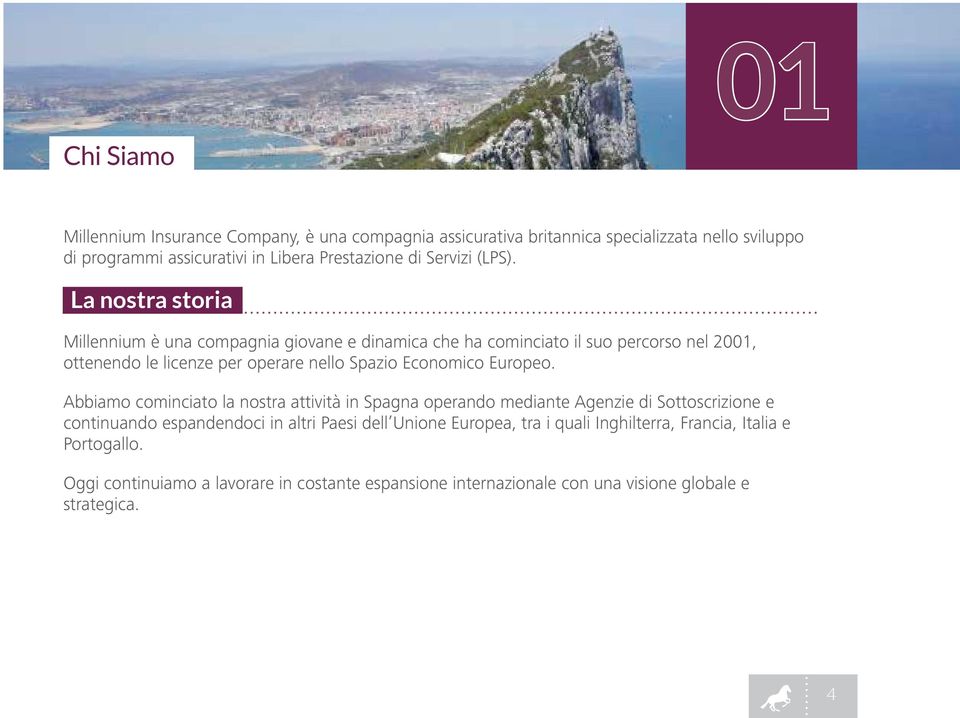 La nostra storia Millennium è una compagnia giovane e dinamica che ha cominciato il suo percorso nel 2001, ottenendo le licenze per operare nello Spazio Economico