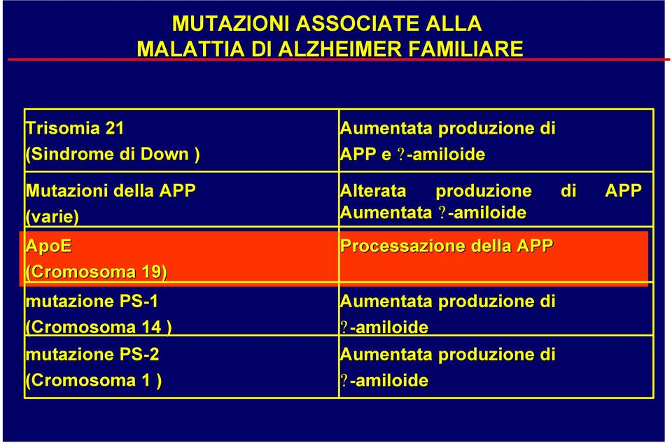 (Cromosoma 1 ) Aumentata produzione di APP e?-amiloide Alterata produzione di APP Aumentata?