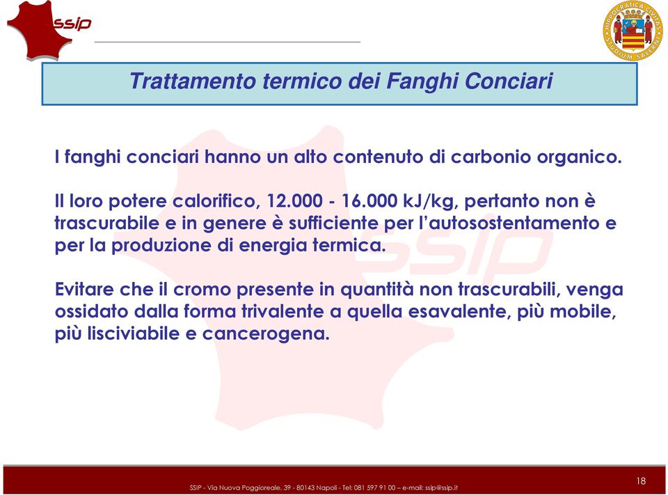 000 kj/kg, pertanto non è trascurabile e in genere è sufficiente per l autosostentamento e per la produzione