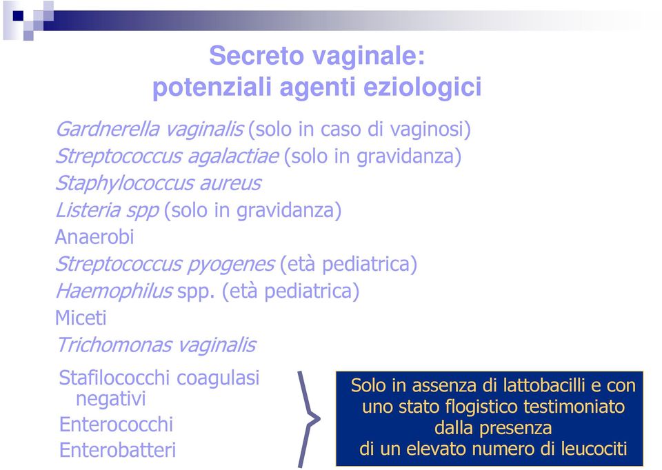 pediatrica) Haemophilus spp.