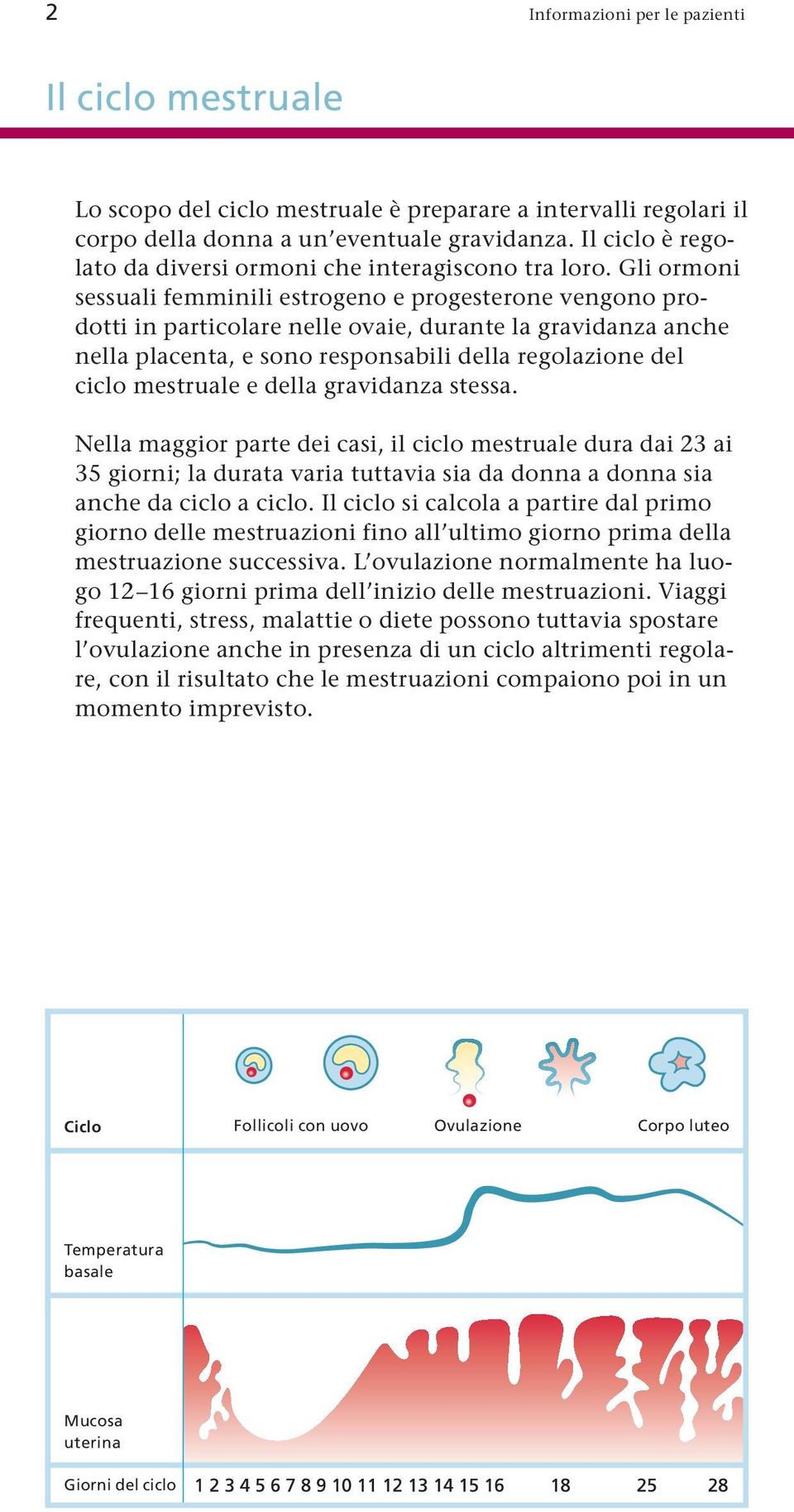 Gli ormoni sessuali femminili estrogeno e progesterone vengono pro - dotti in particolare nelle ovaie, durante la gravidanza anche nella placenta, e sono responsabili della regolazione del ciclo