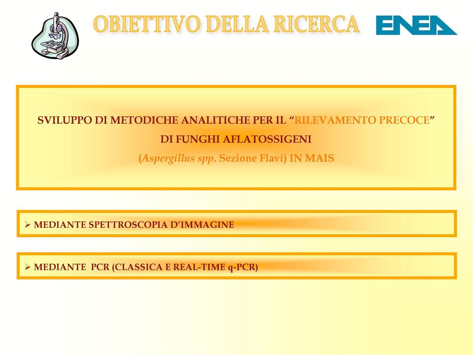 PRECOCE ED IL CONTROLLO DELLA DI FUNGHI CONTAMINAZIONE AFLATOSSIGENI DA AFLATOSSINE