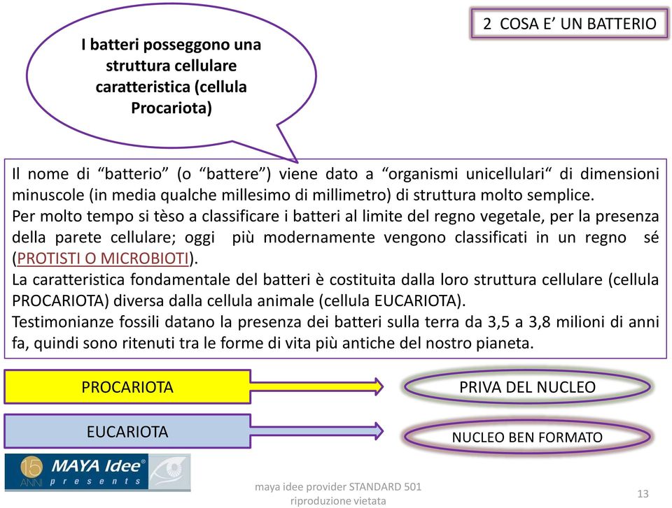 Per molto tempo si tèso a classificare i batteri al limite del regno vegetale, per la presenza della parete cellulare; oggi più modernamente vengono classificati in un regno sé (PROTISTI O