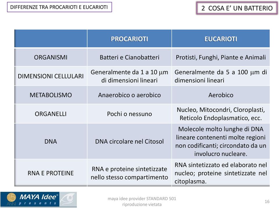 Pochi o nessuno DNA circolare nel Citosol RNA e proteine sintetizzate nello stesso compartimento Nucleo, Mitocondri, Cloroplasti, Reticolo Endoplasmatico, ecc.