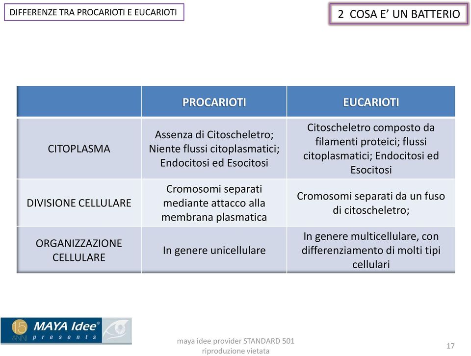 membrana plasmatica In genere unicellulare EUCARIOTI Citoscheletro composto da filamenti proteici; flussi citoplasmatici;