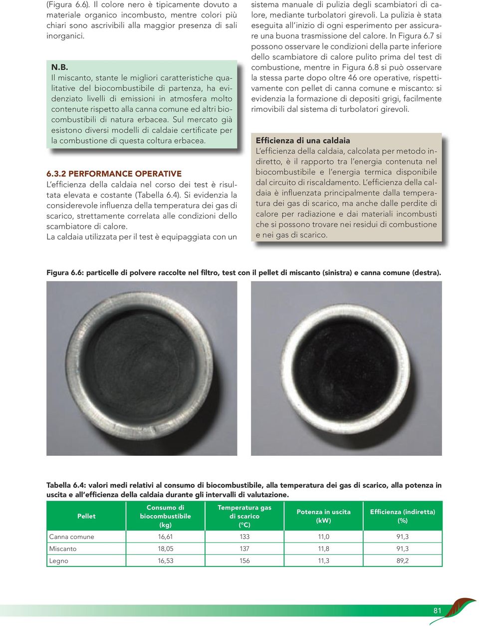 biocombustibili di natura erbacea. Sul mercato già esistono diversi modelli di caldaie certificate per la combustione di questa coltura erbacea. 6.3.