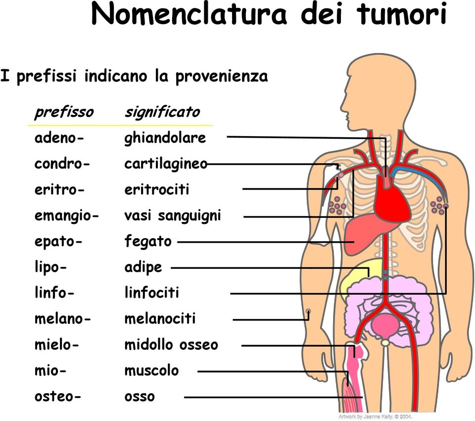 adenocondroeritroemangioepatolipolinfomelanomielomioosteo-