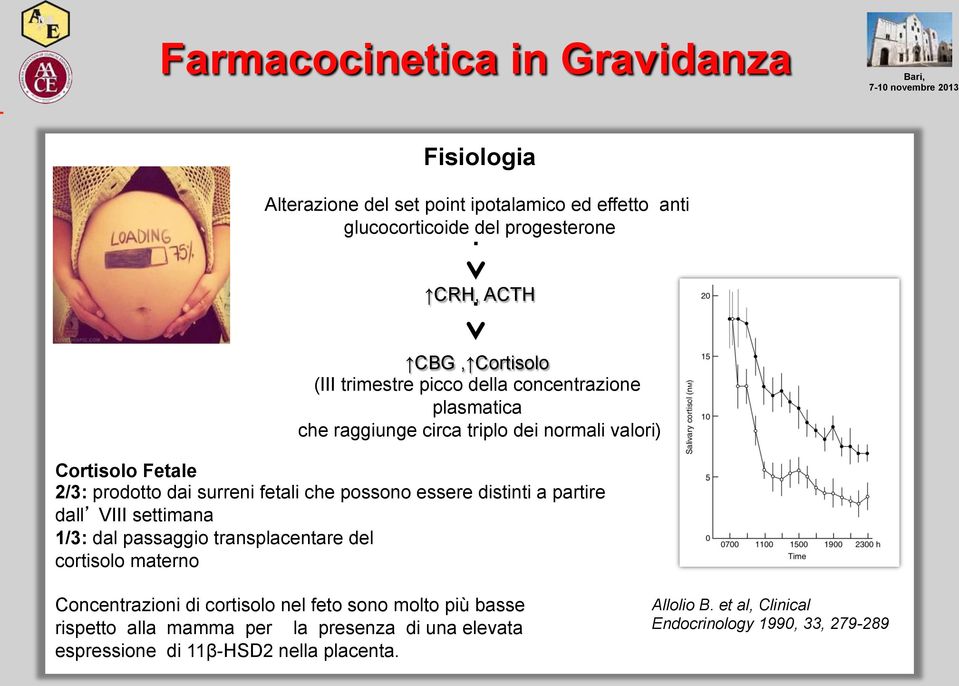 possono essere distinti a partire dall VIII settimana 1/3: dal passaggio transplacentare del cortisolo materno Concentrazioni di cortisolo nel feto sono