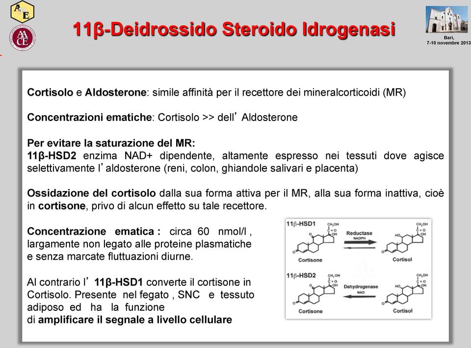 dalla sua forma attiva per il MR, alla sua forma inattiva, cioè in cortisone, privo di alcun effetto su tale recettore.