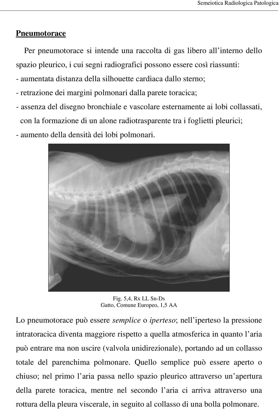 radiotrasparente tra i foglietti pleurici; - aumento della densità dei lobi polmonari. Fig.