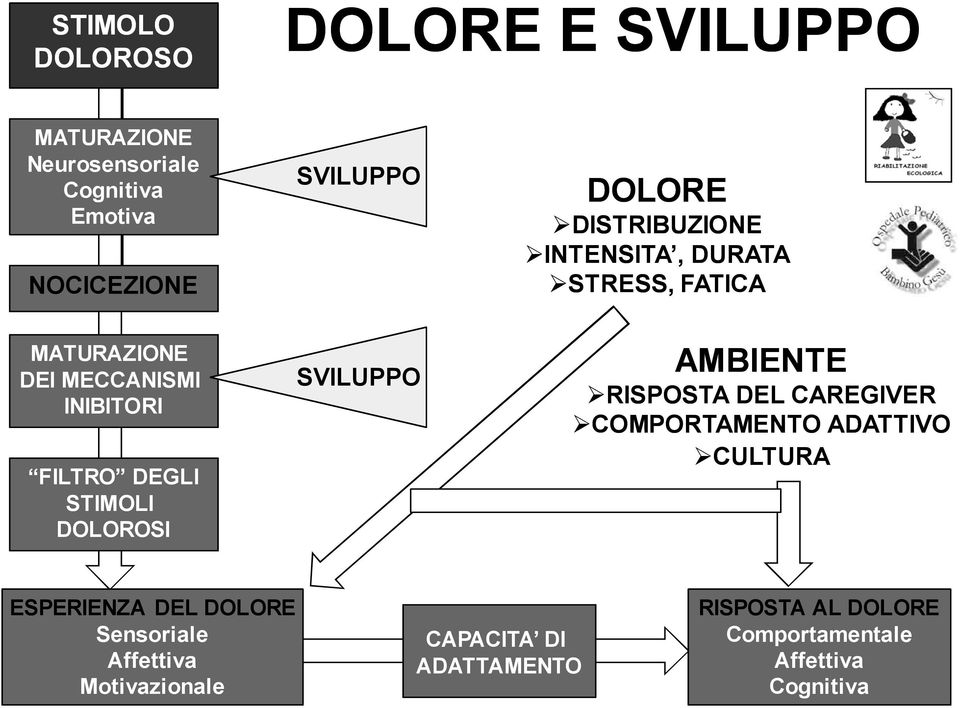 STIMOLI DOLOROSI SVILUPPO AMBIENTE RISPOSTA DEL CAREGIVER COMPORTAMENTO ADATTIVO CULTURA ESPERIENZA DEL