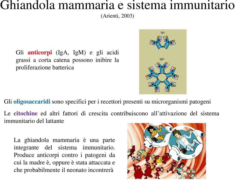 fattori di crescita contribuiscono all attivazione del sistema immunitario del lattante La ghiandola mammaria è una parte integrante del