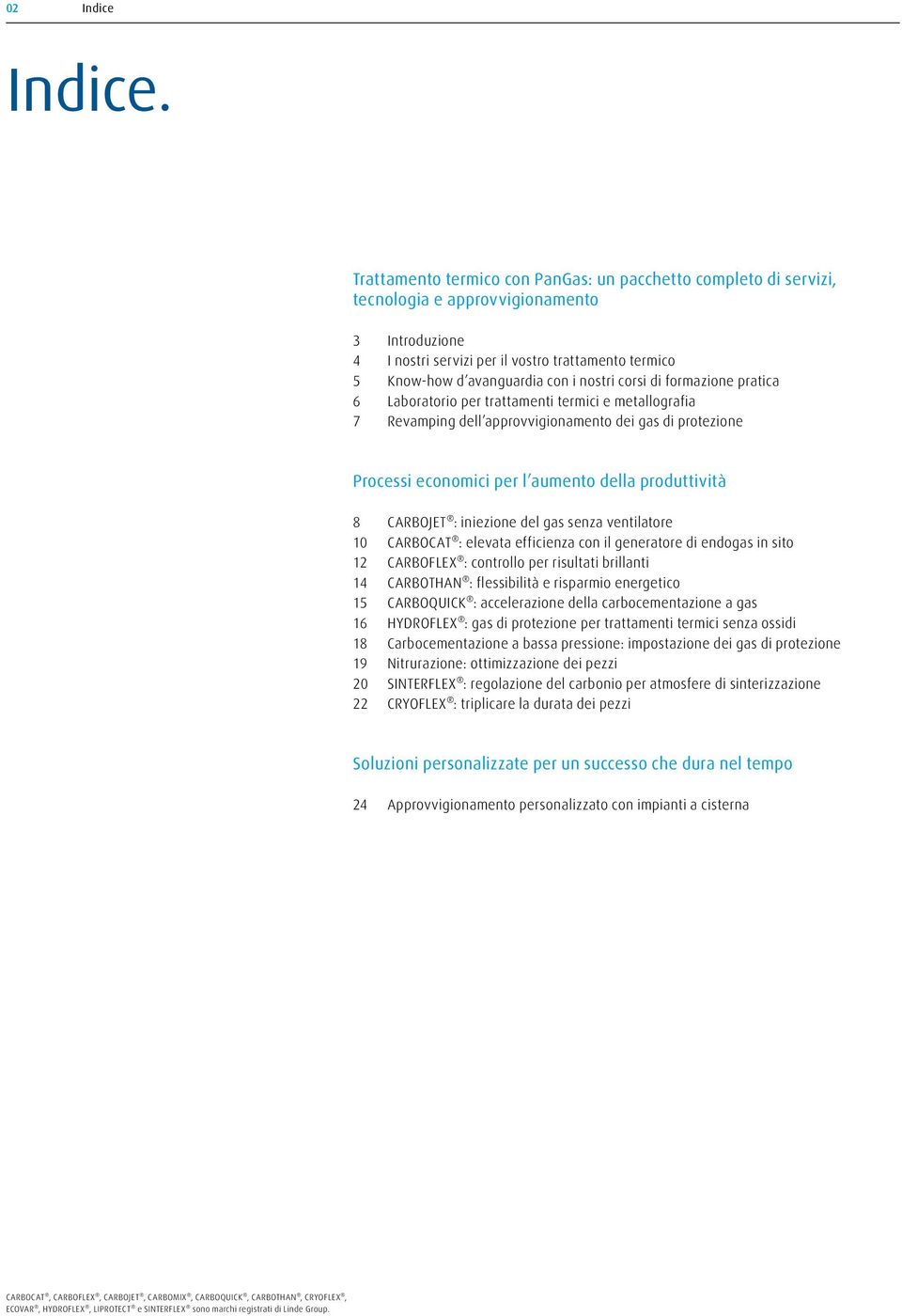 nostri corsi di formazione pratica 6 Laboratorio per trattamenti termici e metallografia 7 Revamping dell approvvigionamento dei gas di protezione Processi economici per l aumento della produttività