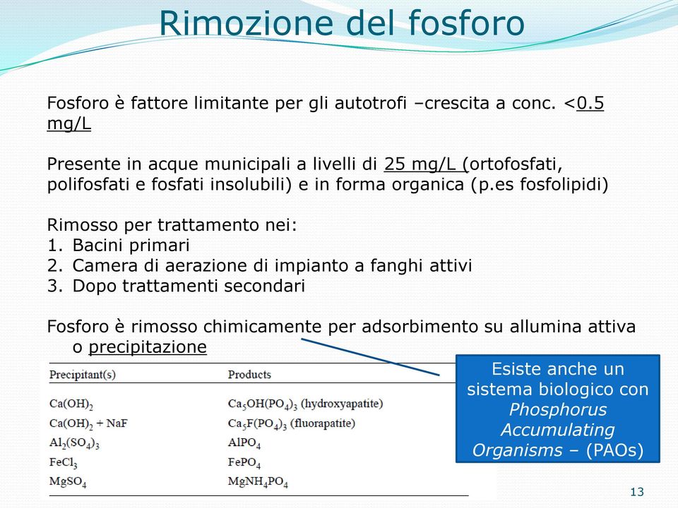 es fosfolipidi) Rimosso per trattamento nei: 1. Bacini primari 2. Camera di aerazione di impianto a fanghi attivi 3.