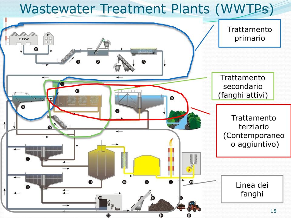 secondario (fanghi attivi) Trattamento