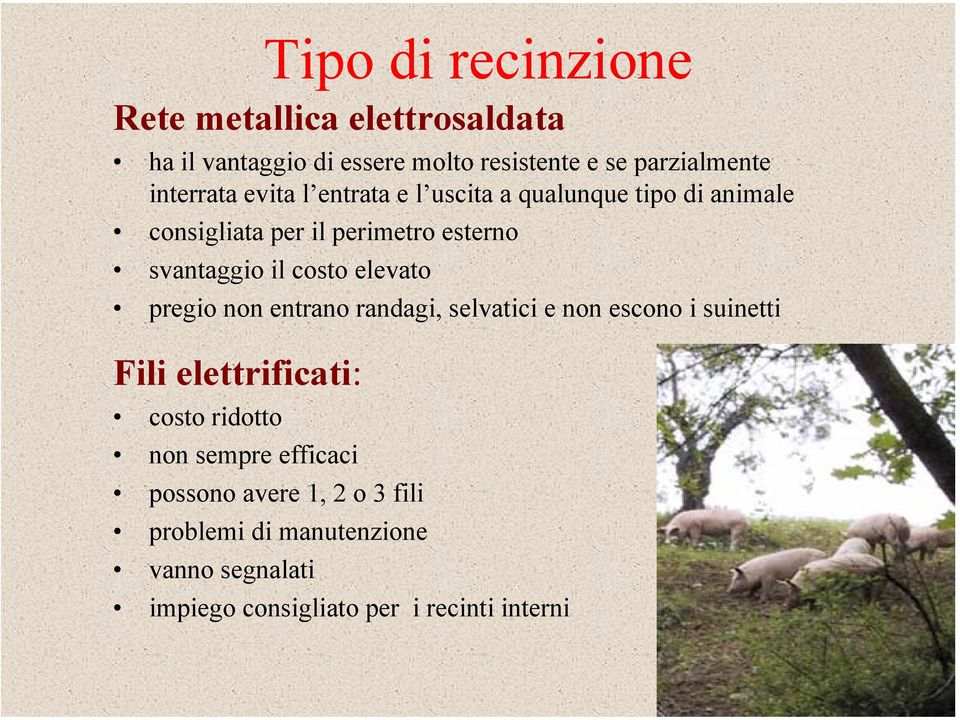 costo elevato pregio non entrano randagi, selvatici e non escono i suinetti Fili elettrificati: costo ridotto non