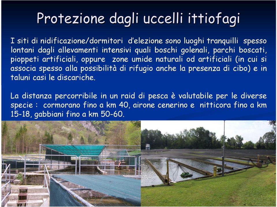 si associa spesso alla possibilità di rifugio anche la presenza di cibo) e in taluni casi le discariche.