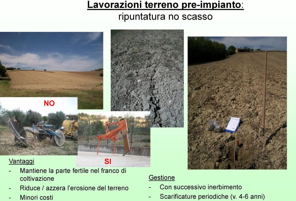 - Riduce / azzera l erosione del terreno - Minori costi SI