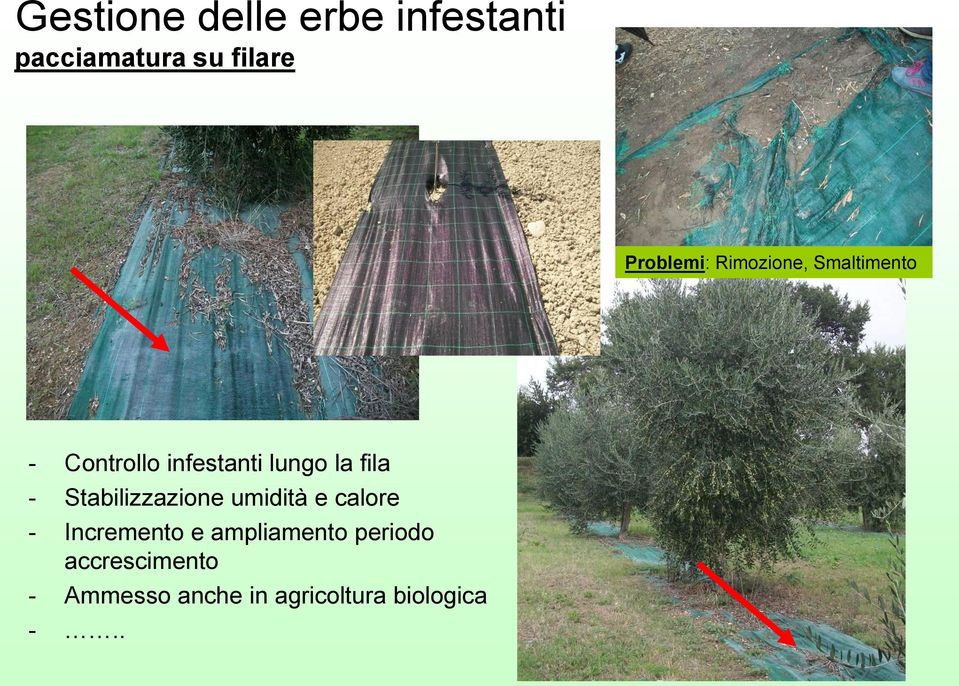 la fila - Stabilizzazione umidità e calore - Incremento e