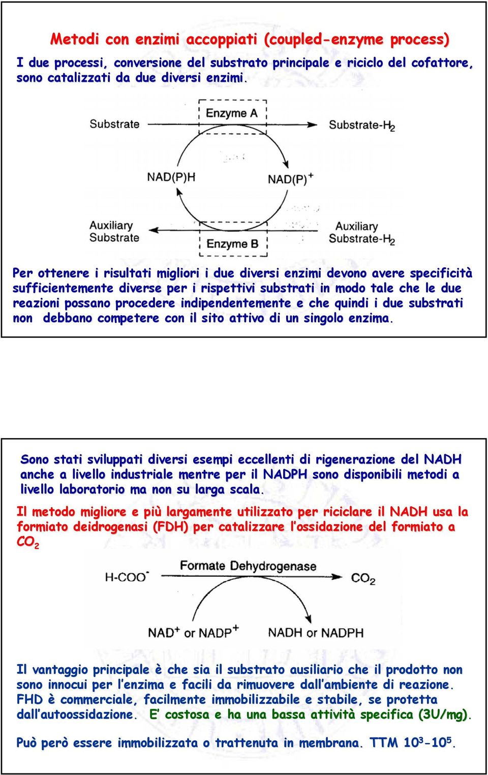 indipendentemente e che quindi i due substrati non debbano competere con il sito attivo di un singolo enzima.