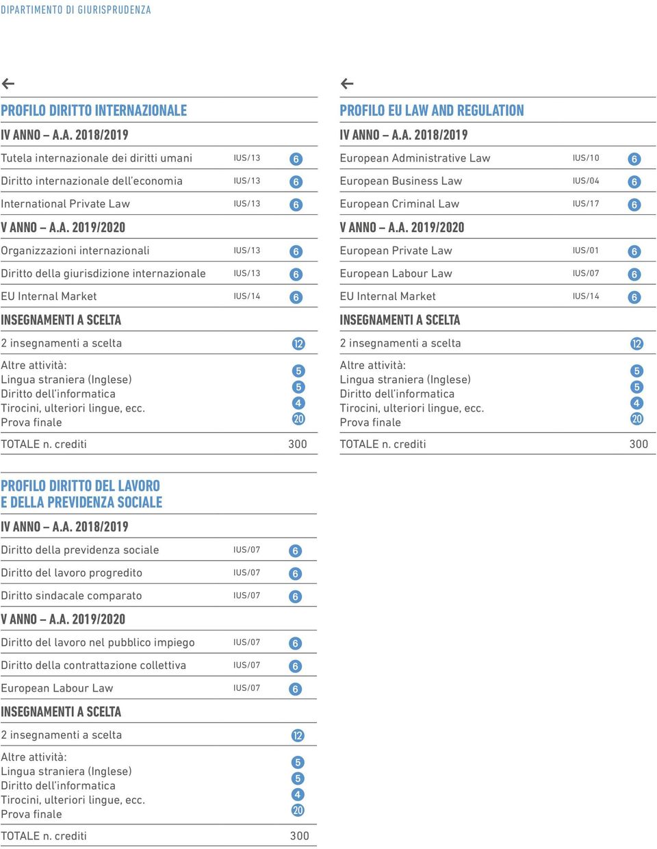 IUS/0 6 European Criminal Law IUS/17 6 European Private Law IUS/01 6 European Labour Law IUS/07 6 EU Internal Market IUS/1 6 2 insegnamenti a scelta PROFILO DIRITTO DEL LAVORO E DELLA PREVIDENZA