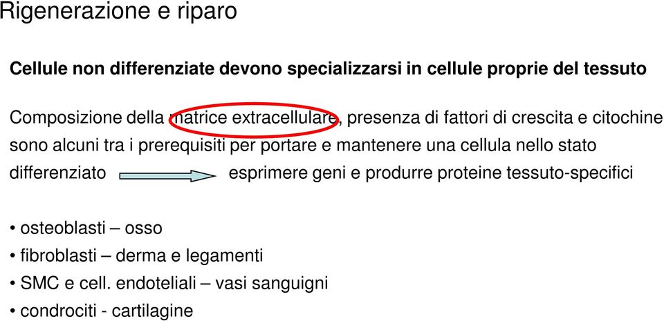 prerequisiti per portare e mantenere una cellula nello stato differenziato esprimere geni e produrre proteine